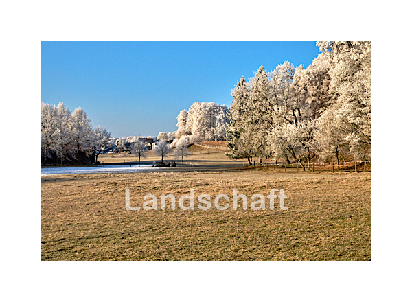 Landschaft